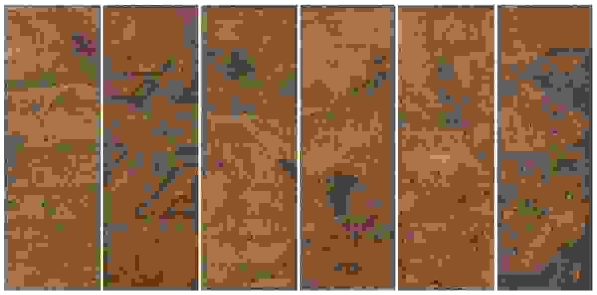Section image
