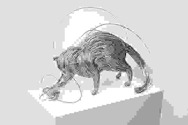 Section image