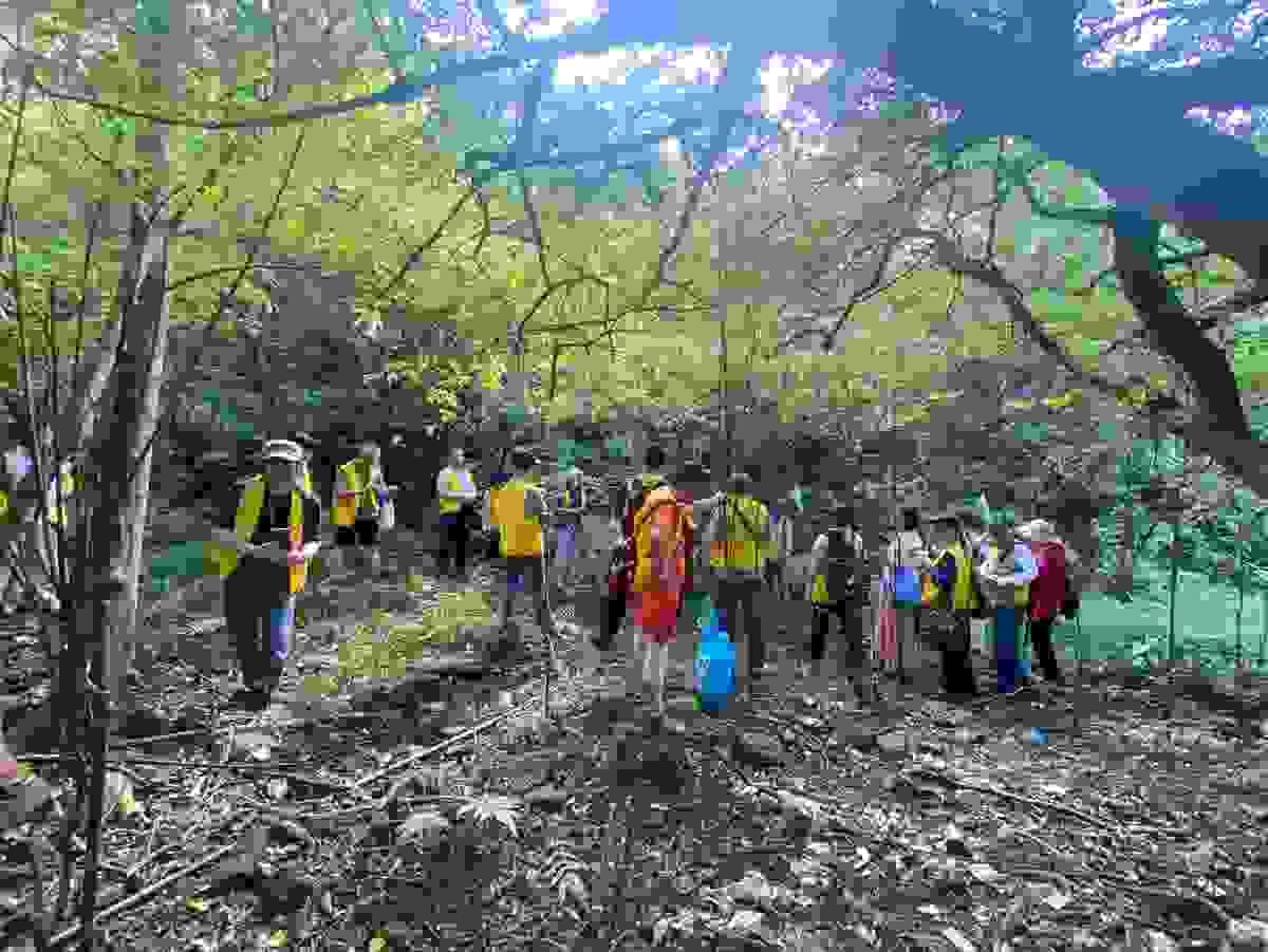 Section image