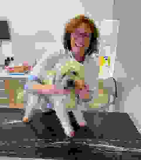 broken image