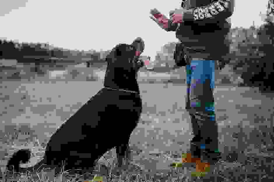 broken image