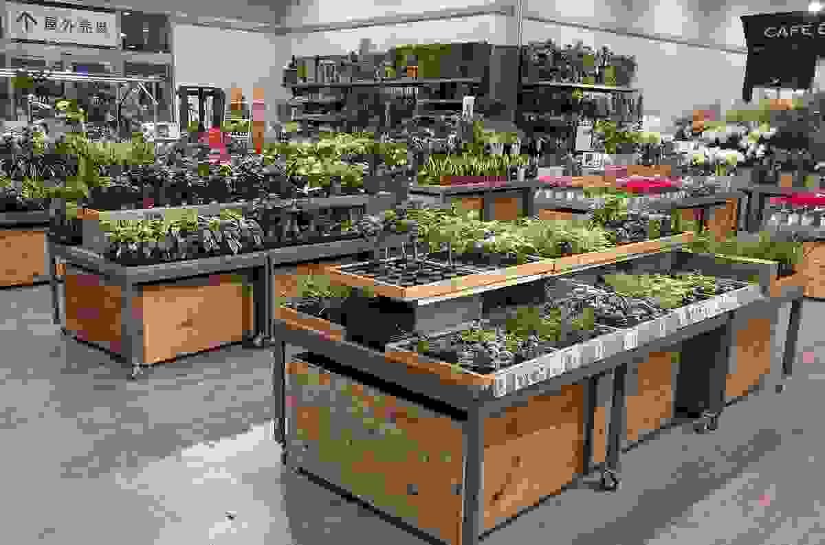 Section image