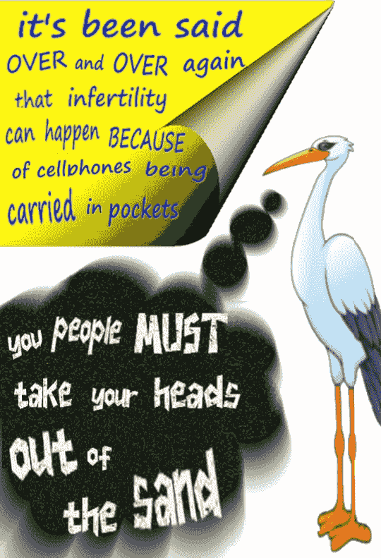 cellphones causing infertility cellphones causing infertility