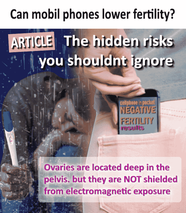 cellphone radiation risk cellphone radiation risk