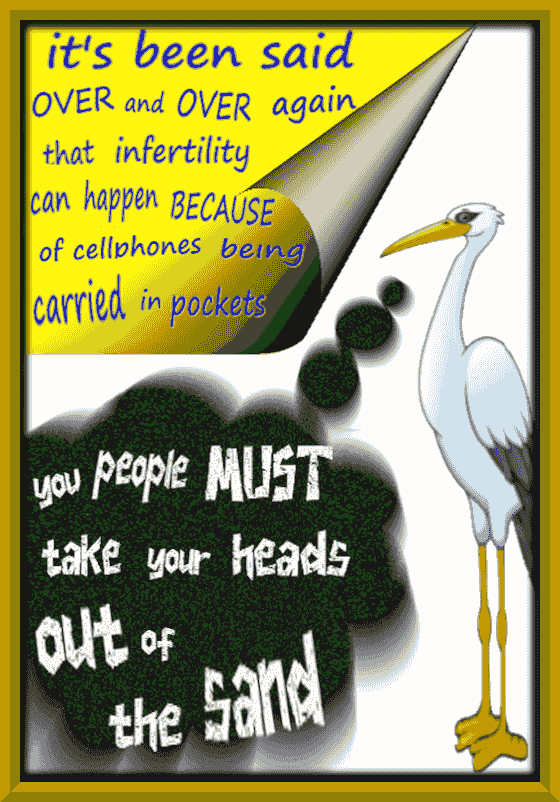 cellphones causing infertility cellphones causing infertility