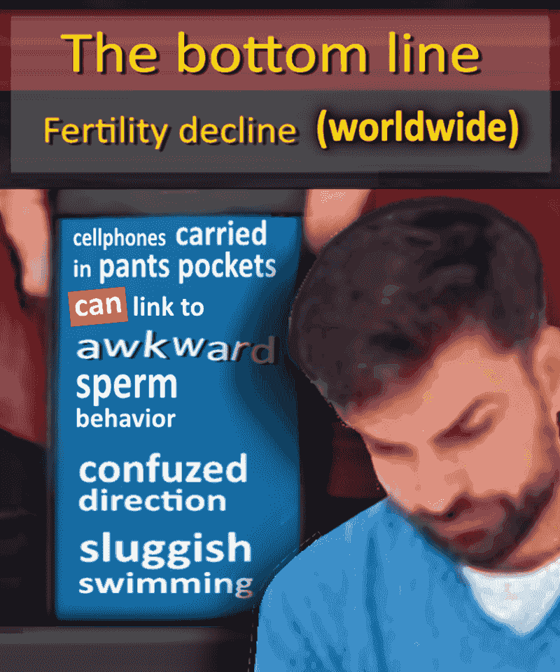 reproduction fertility reproduction fertility