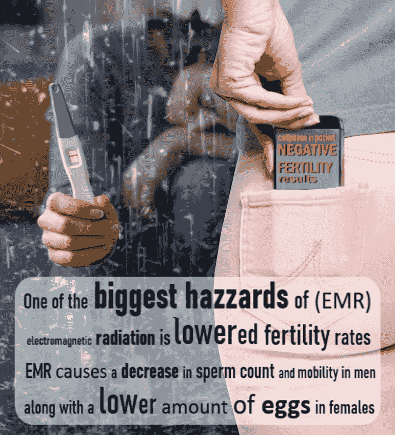 Infertility Infertility