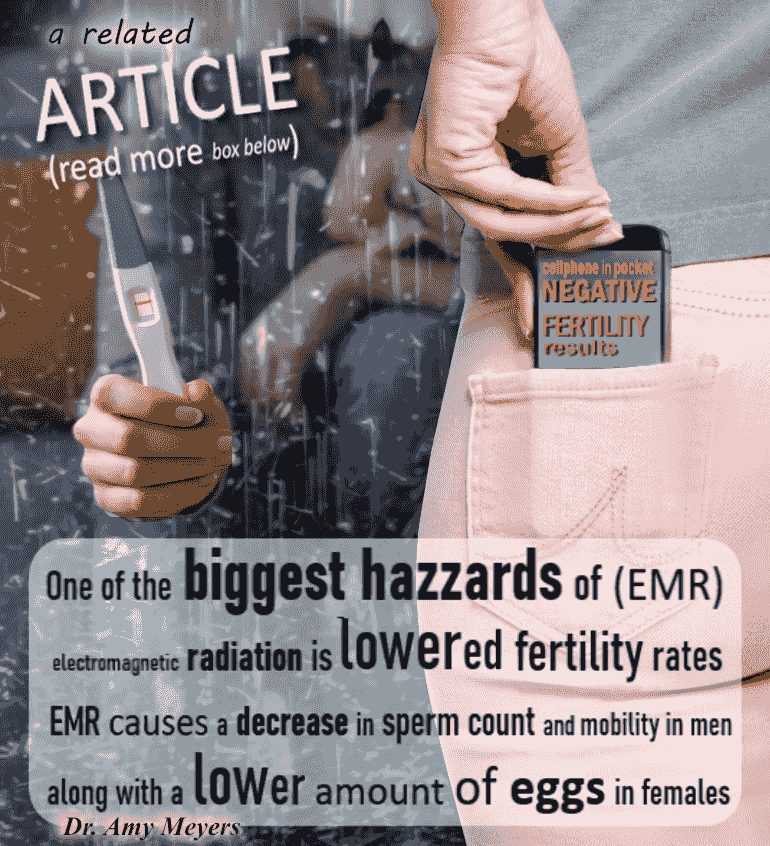 cellphone radiation risk cellphone radiation risk