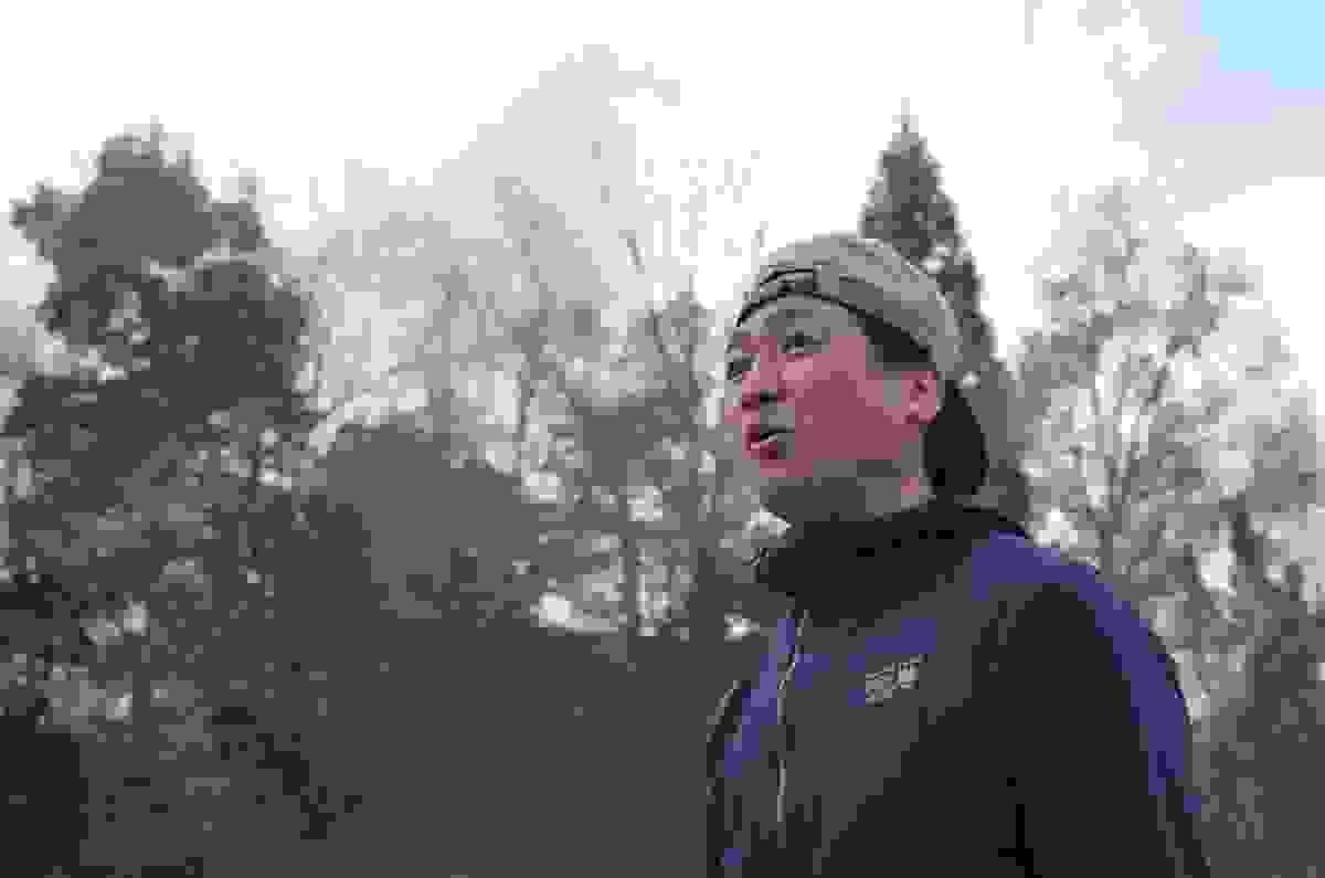 broken image