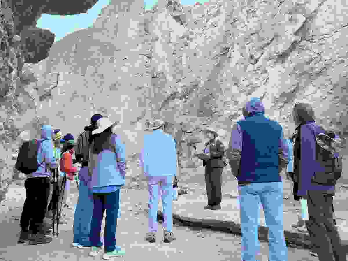 Section image