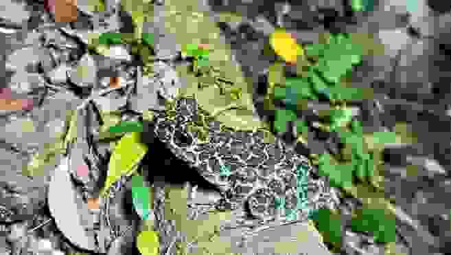 broken image