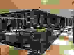 broken image