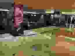 broken image