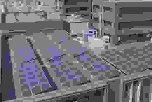 broken image