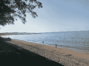 Section image