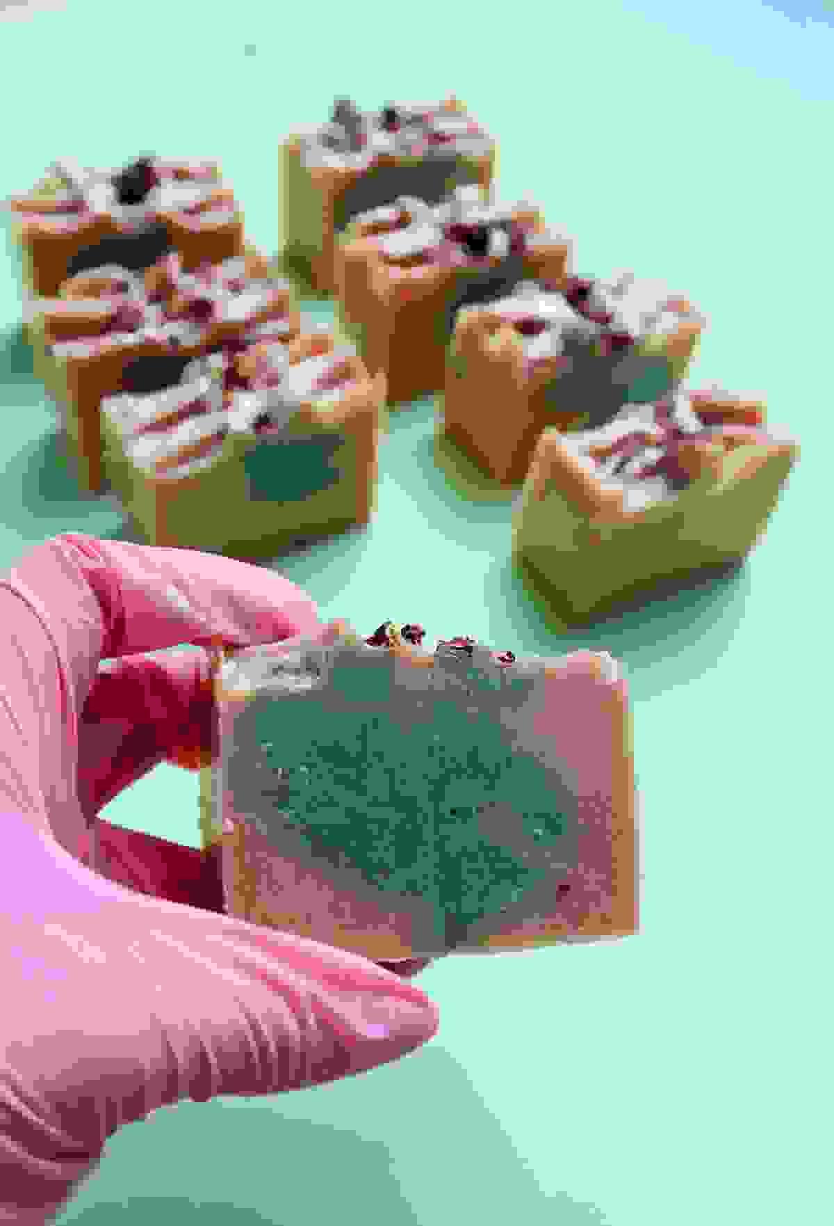 broken image