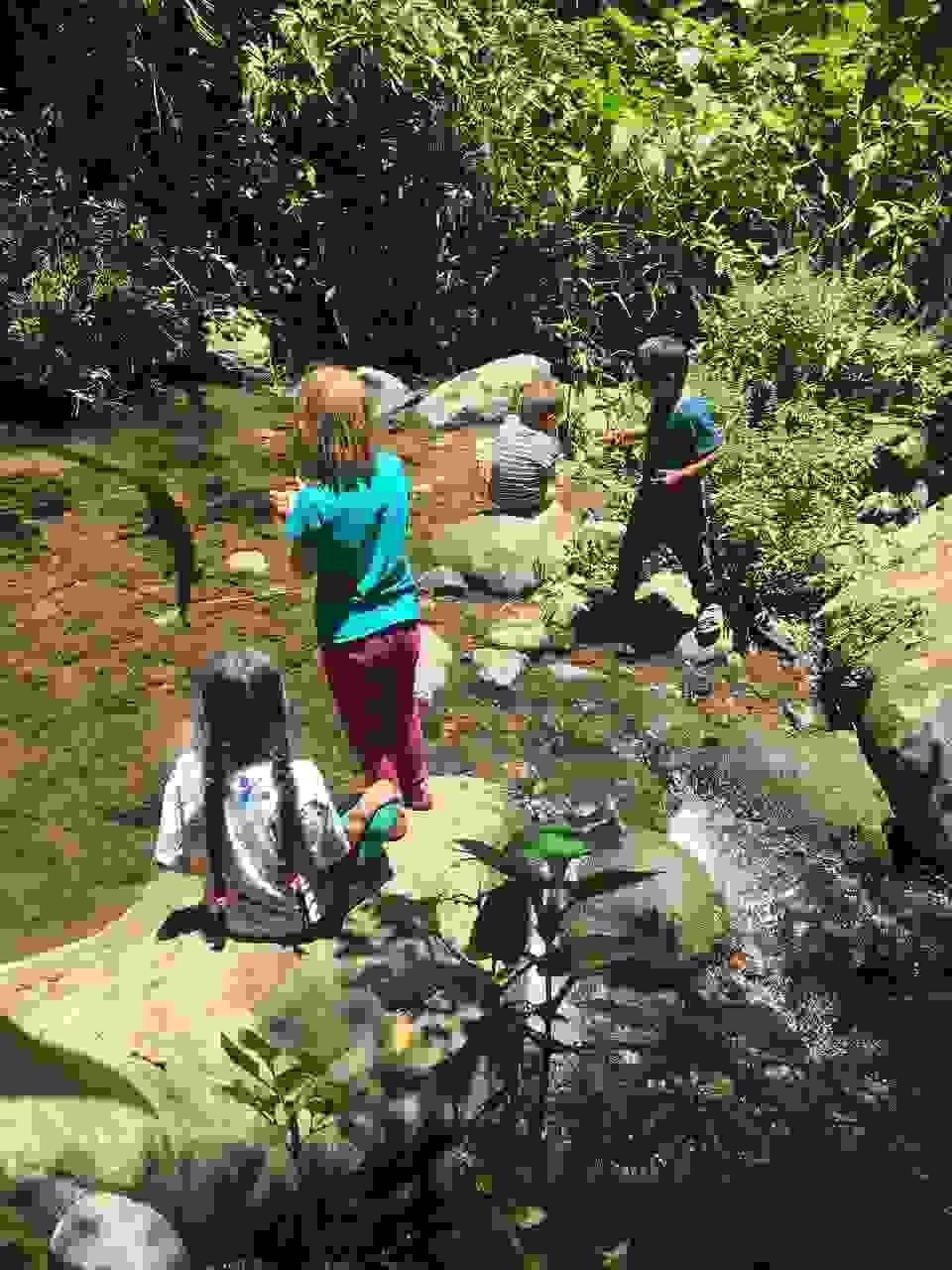 Our commitment to a regenerative culture is evident in everything we do. We emphasize education, collaboration, and innovation, fostering a community that embraces sustainable practices and holistic living. Join us in cultivating a culture that values regeneration and interconnectedness. Regenerative Culture What We Do Equipo evolutionarioquienes somos?HistoriaProyectosOfertasCultura regenerativa