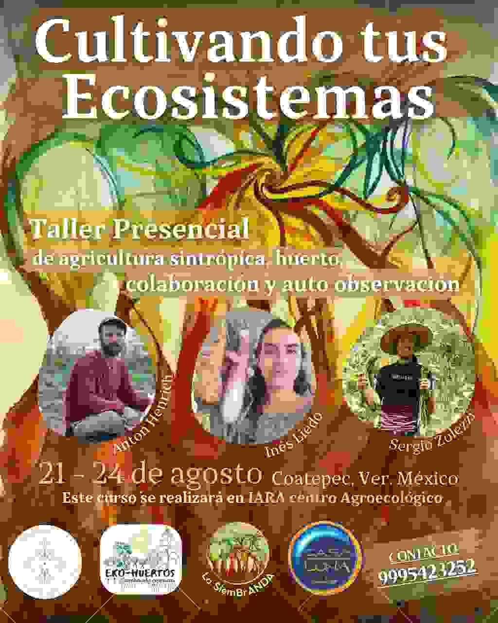 Our team develops cutting-edge solutions aimed at restoring the environment and enhancing well-being. Innovative Solutions What We Offer Equipo evolutionarioquienes somos?HistoriaProyectosOfertasCultura regenerativa