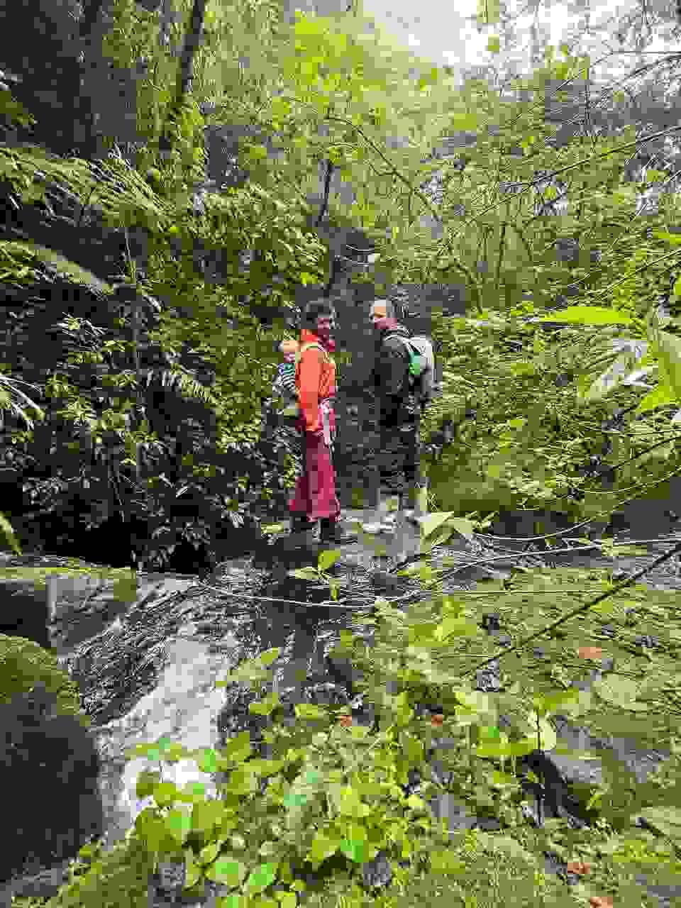 We are dedicated to implementing innovative projects that restore ecosystems and enhance community resilience. From regenerative agriculture initiatives to sustainable resource management, our projects aim to heal the land and empower communities for a sustainable future. Innovative Projects What We Do Equipo evolutionarioquienes somos?HistoriaProyectosOfertasCultura regenerativa