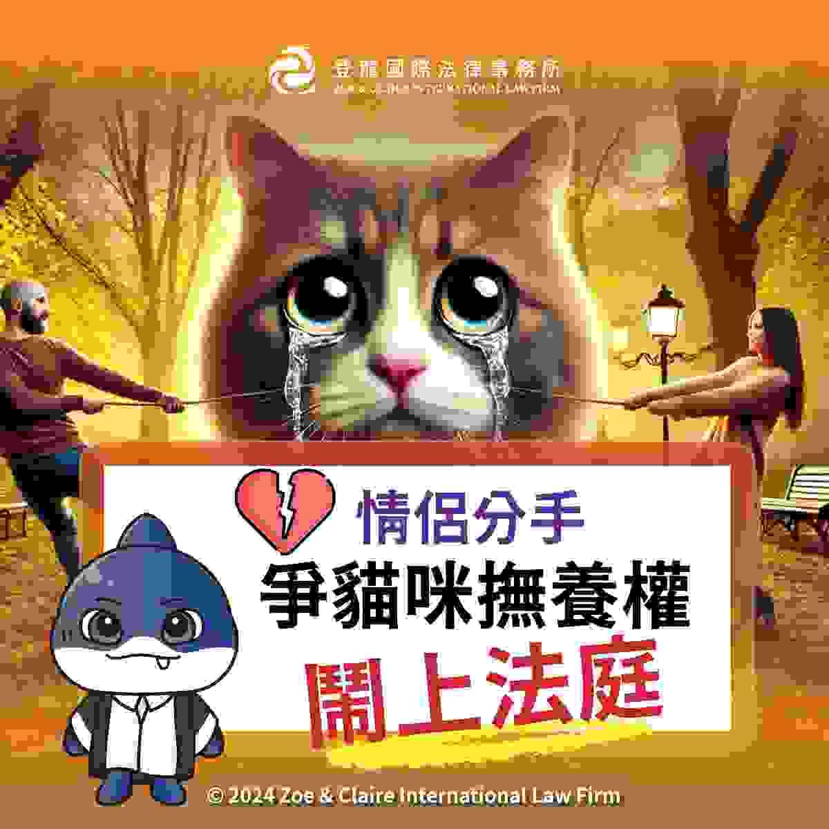 broken image