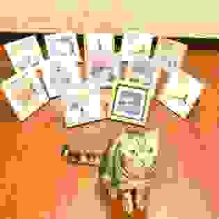 broken image