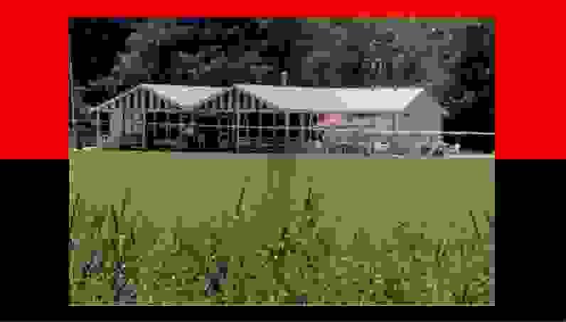 broken image