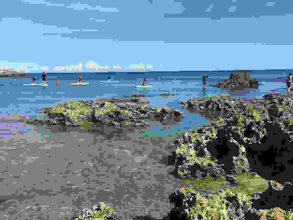 Section image