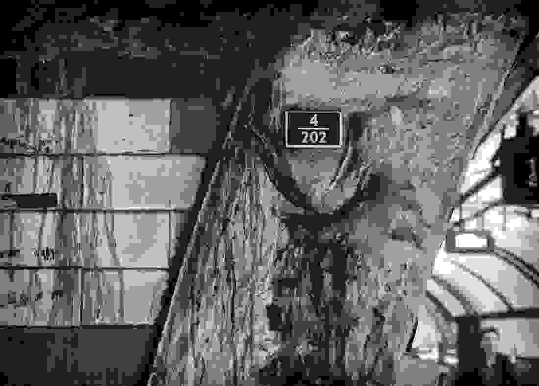 Section image