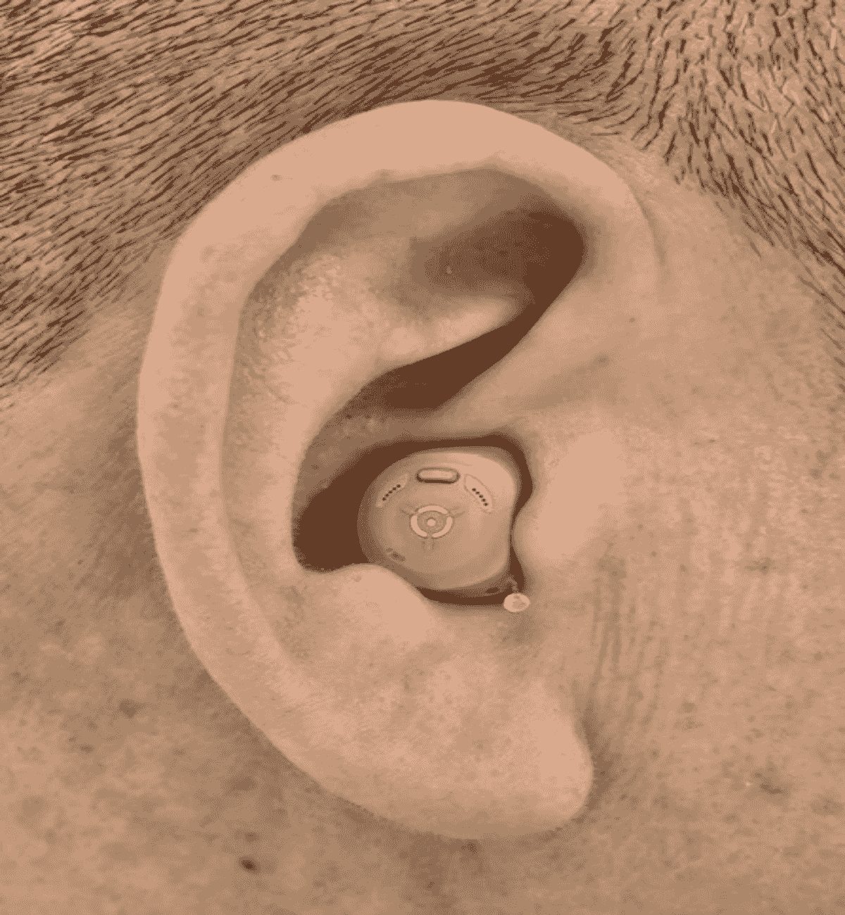 Section image
