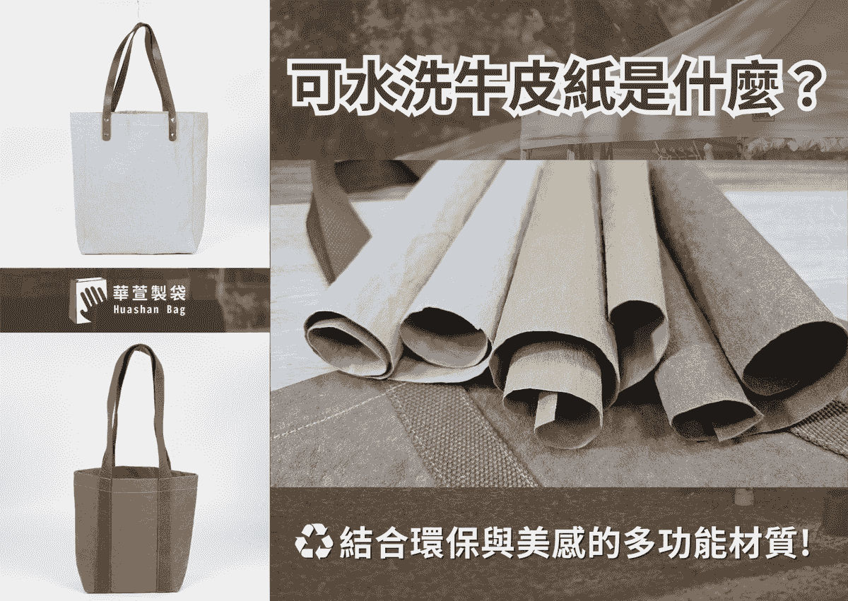 台灣LV 茄芷袋