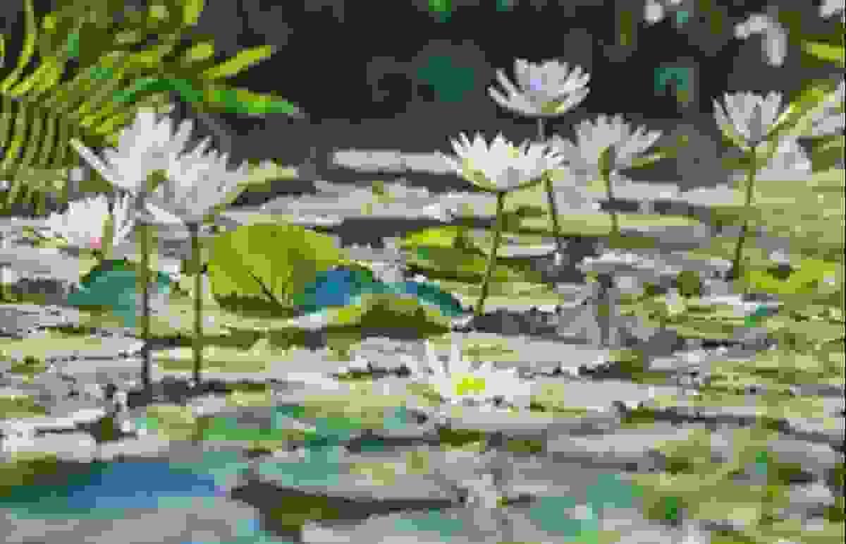 Section image