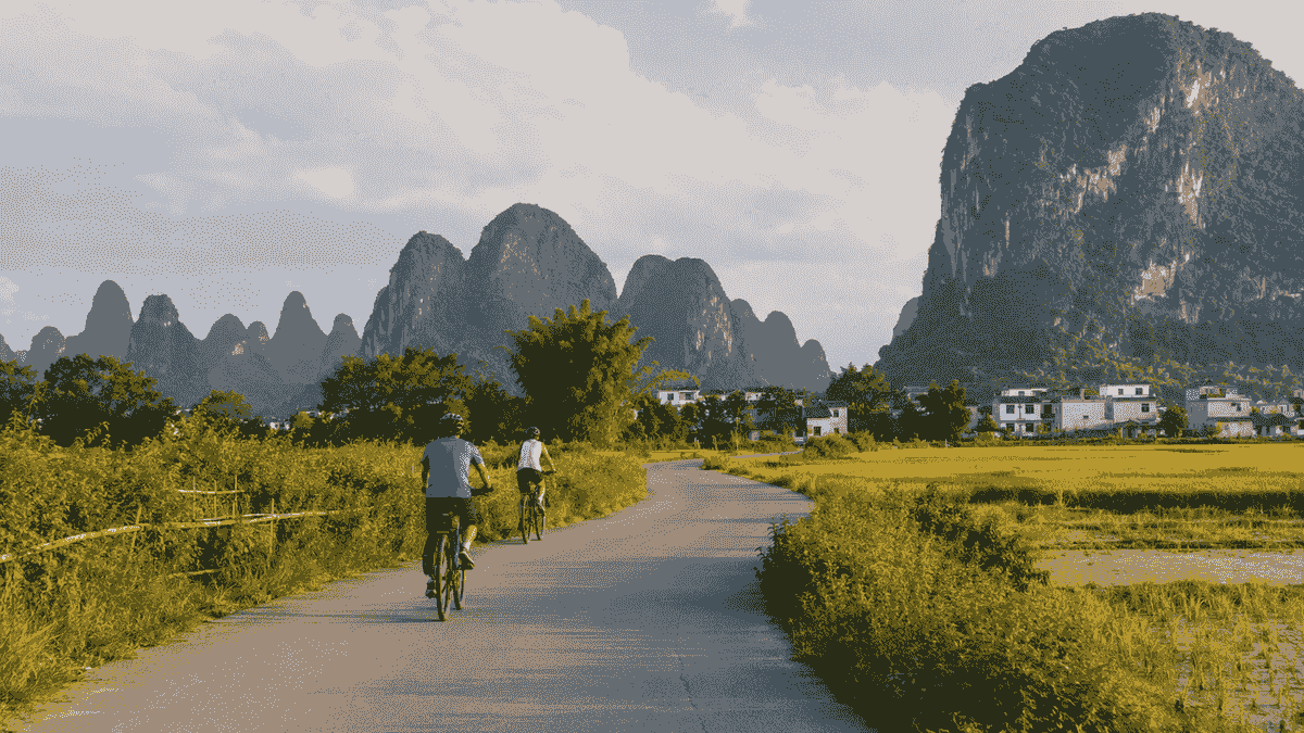 Travelers cycling through rice fields and karst countryside near Yangshuo, China Travelers cycling through rice fields and karst countryside near Yangshuo, China