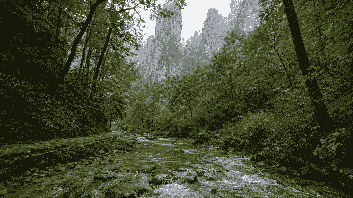 Section image