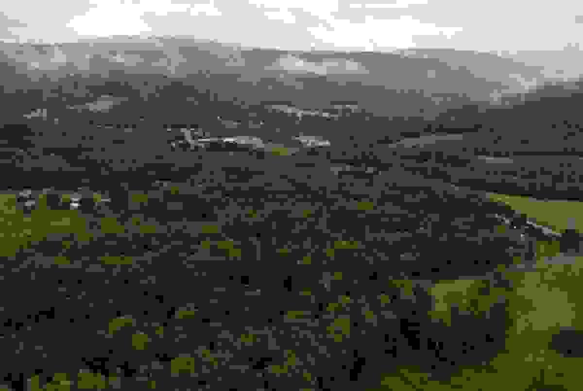Section image
