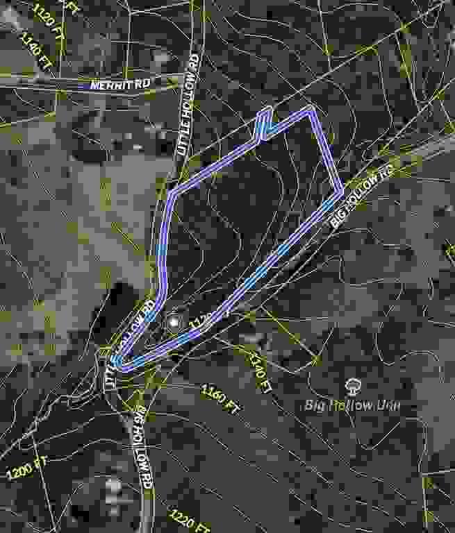 Section image