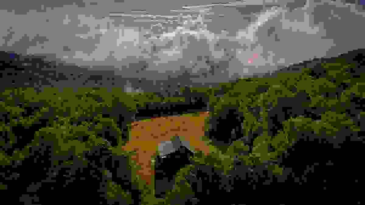 Section image