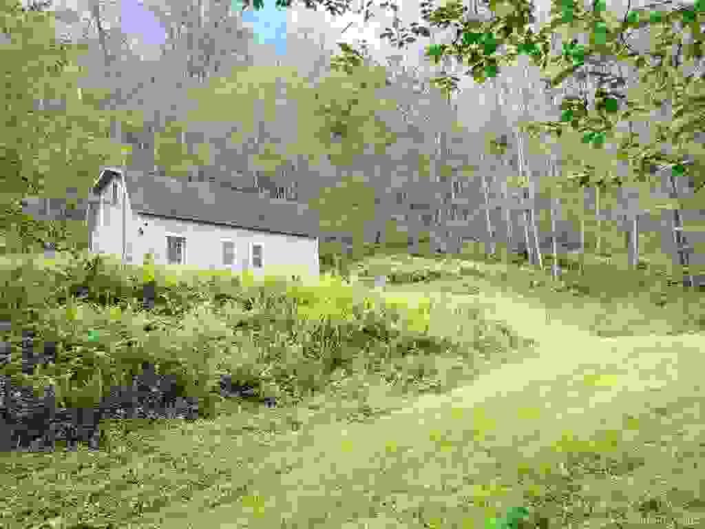 Section image