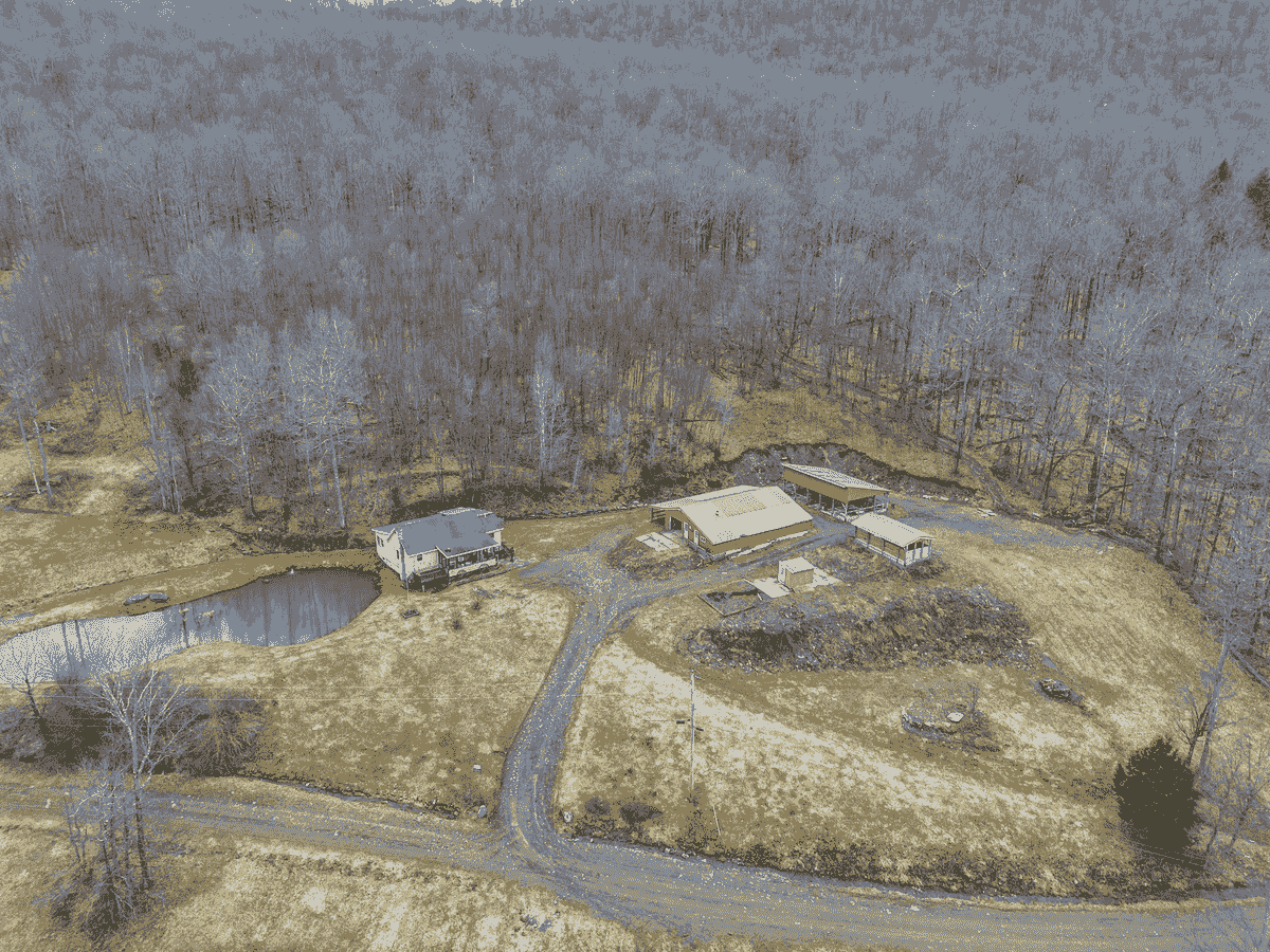 Section image
