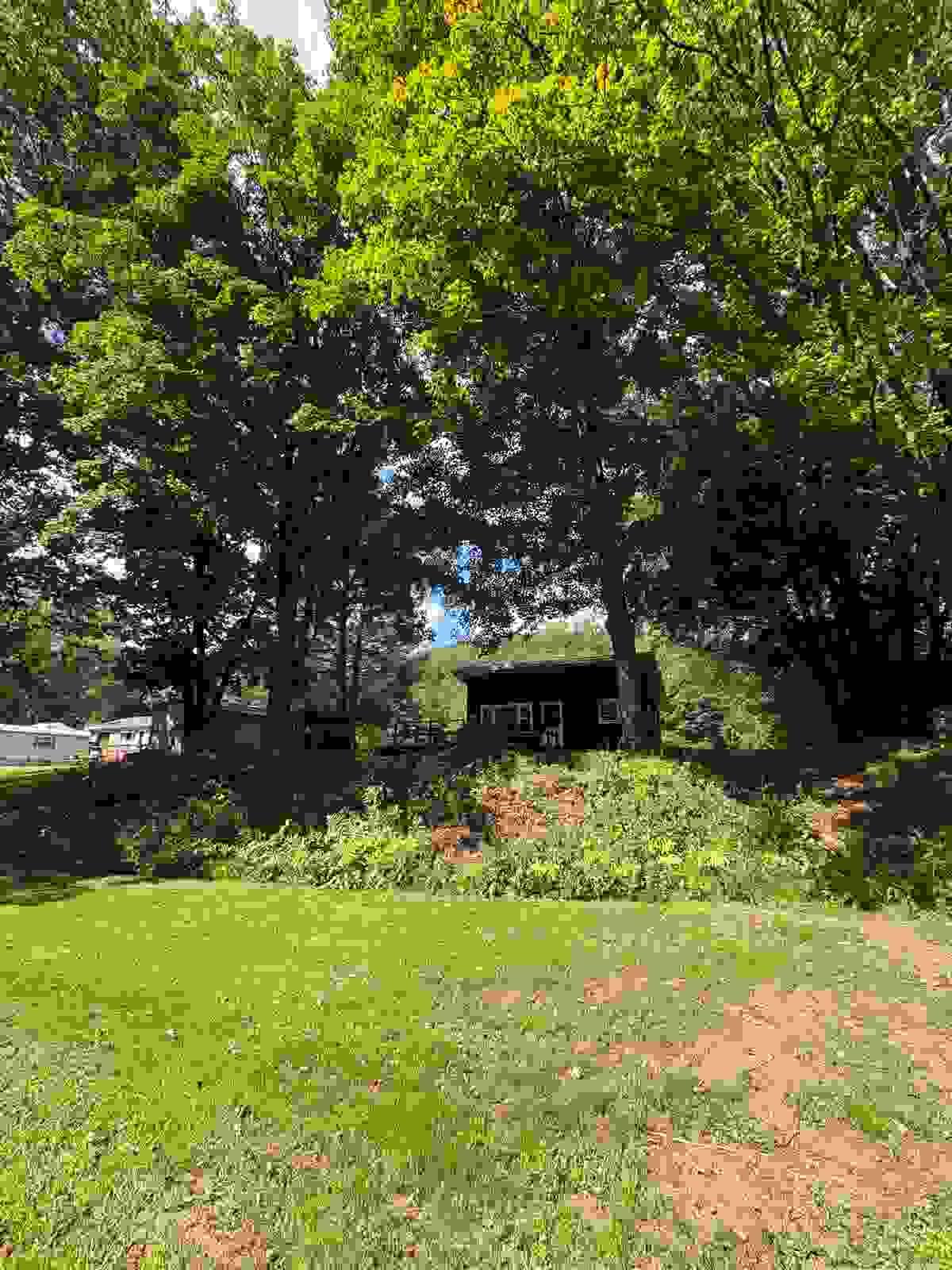 Section image