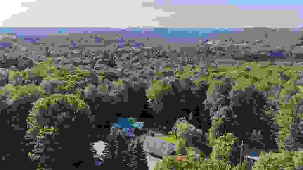 Section image