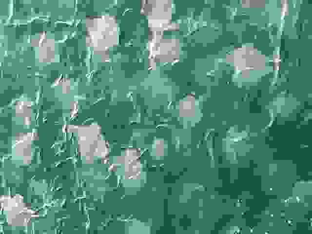 broken image
