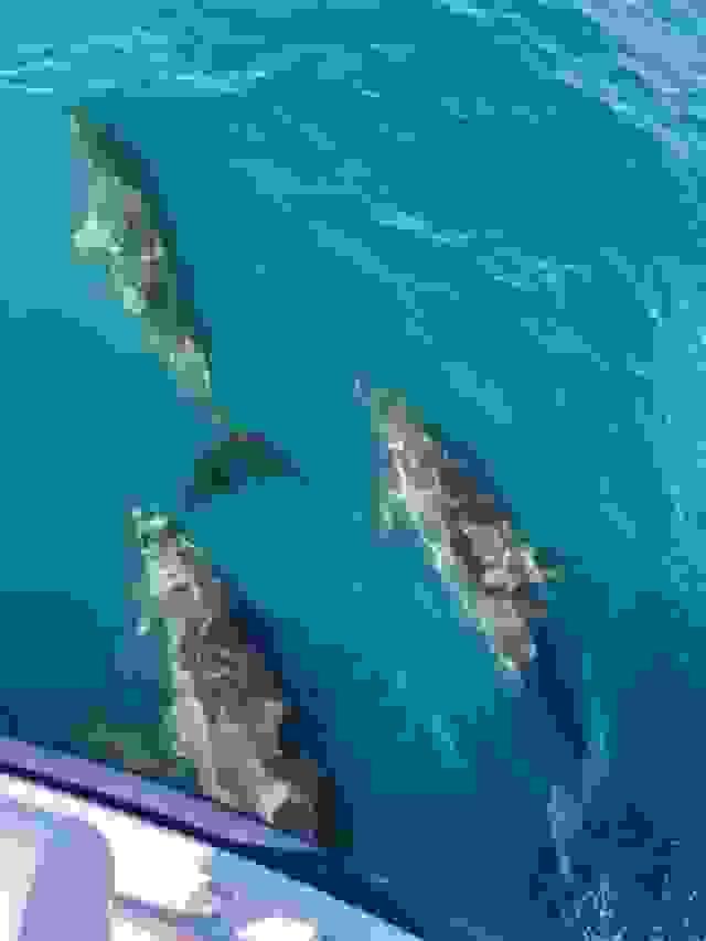 broken image