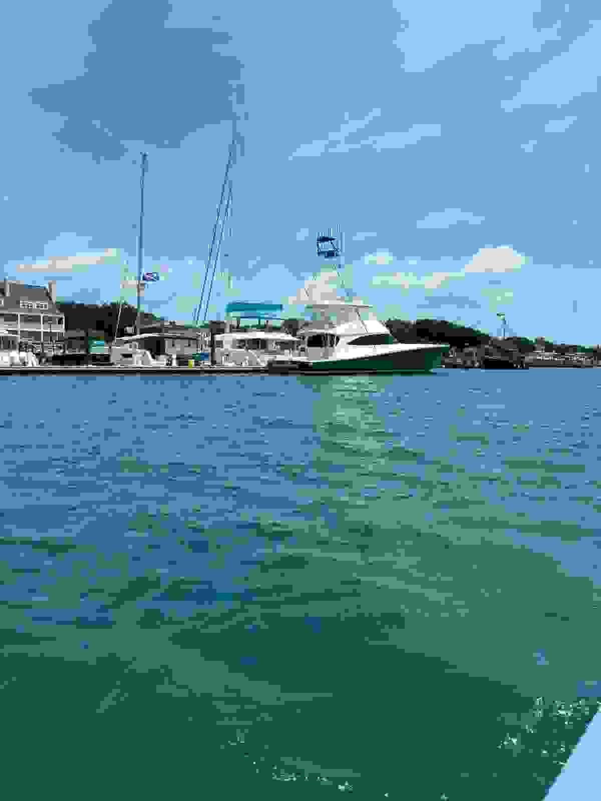 Section image