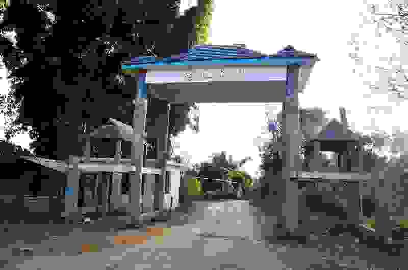 Section image