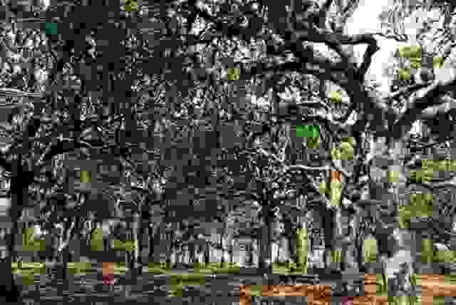 Section image
