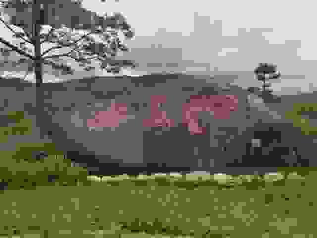 Section image