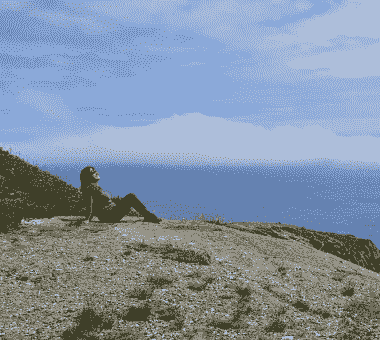 Section image