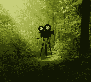 broken image