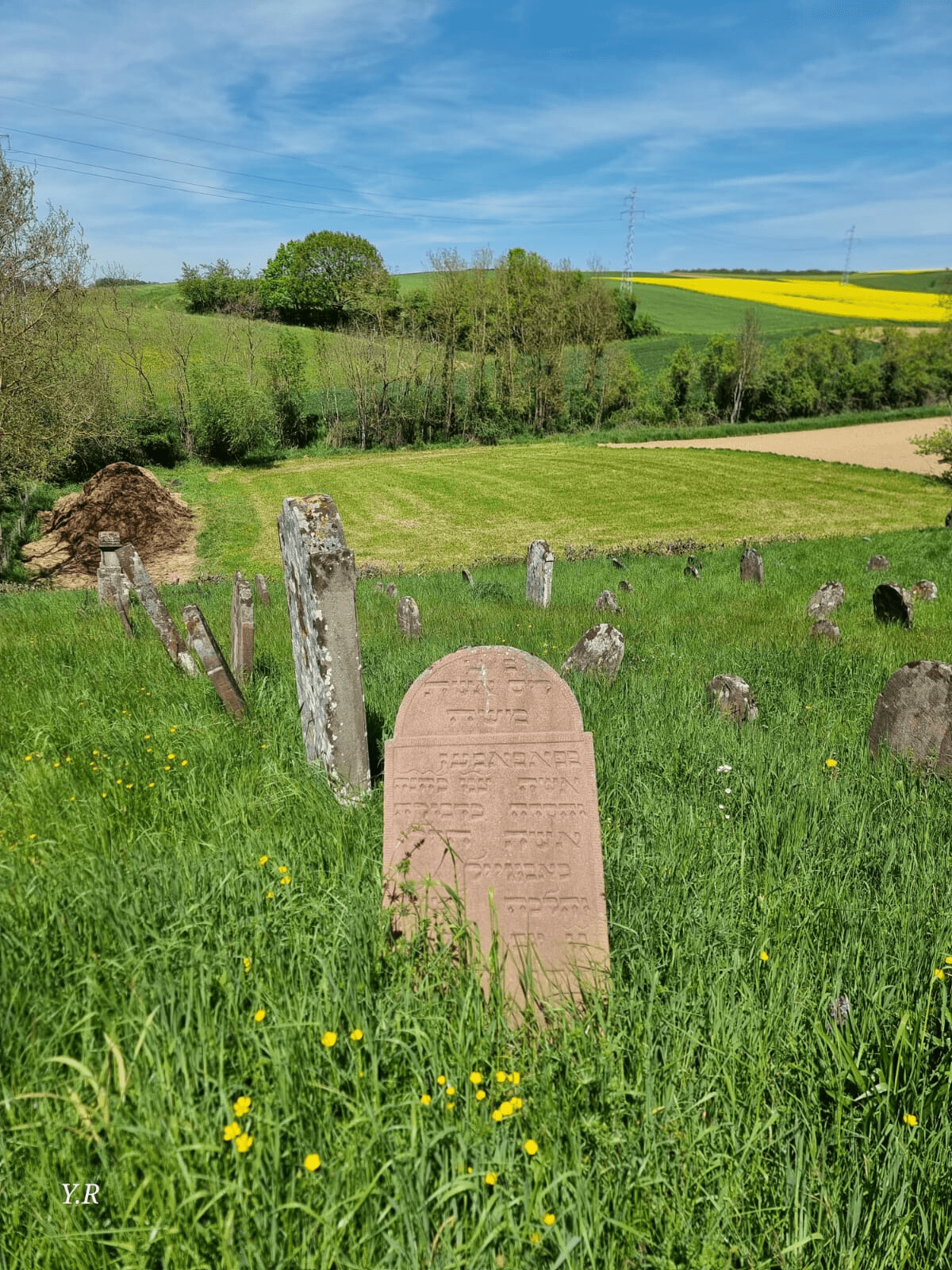Section image