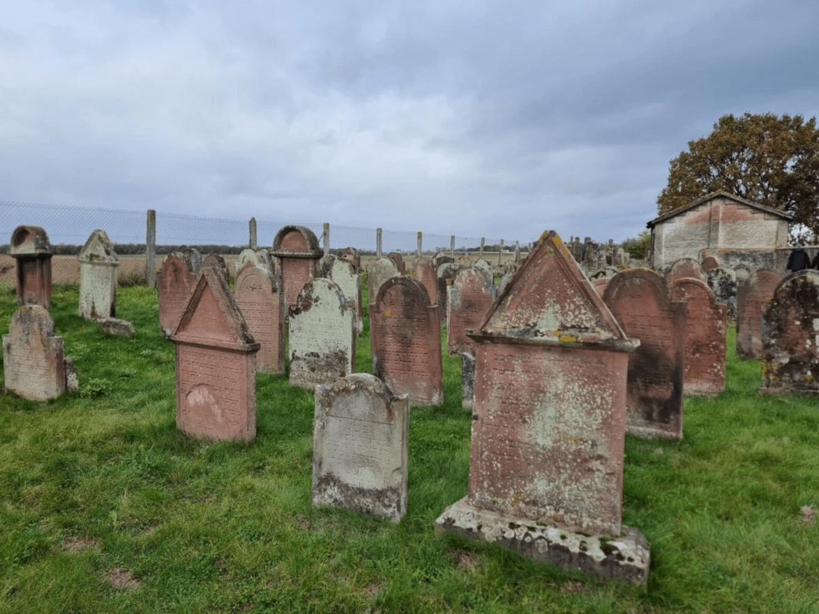 Section image